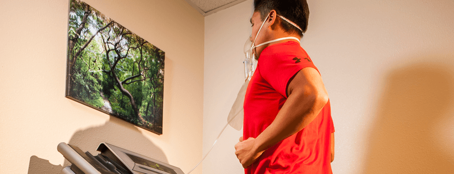 A person in a red shirt jogging on a treadmill, facing a wall-mounted photograph of a green forest scene.