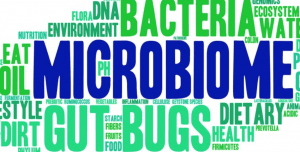 Microbiome: how does it affect our heart and mood? Chronic Lyme?