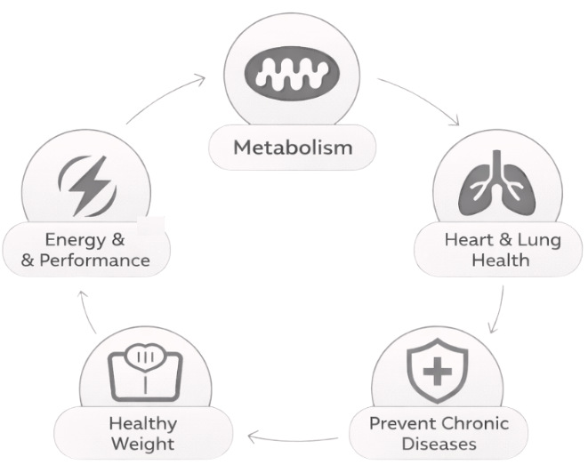 Metabolic testing and longevity graphic used for advanced metabolic assessment services.
